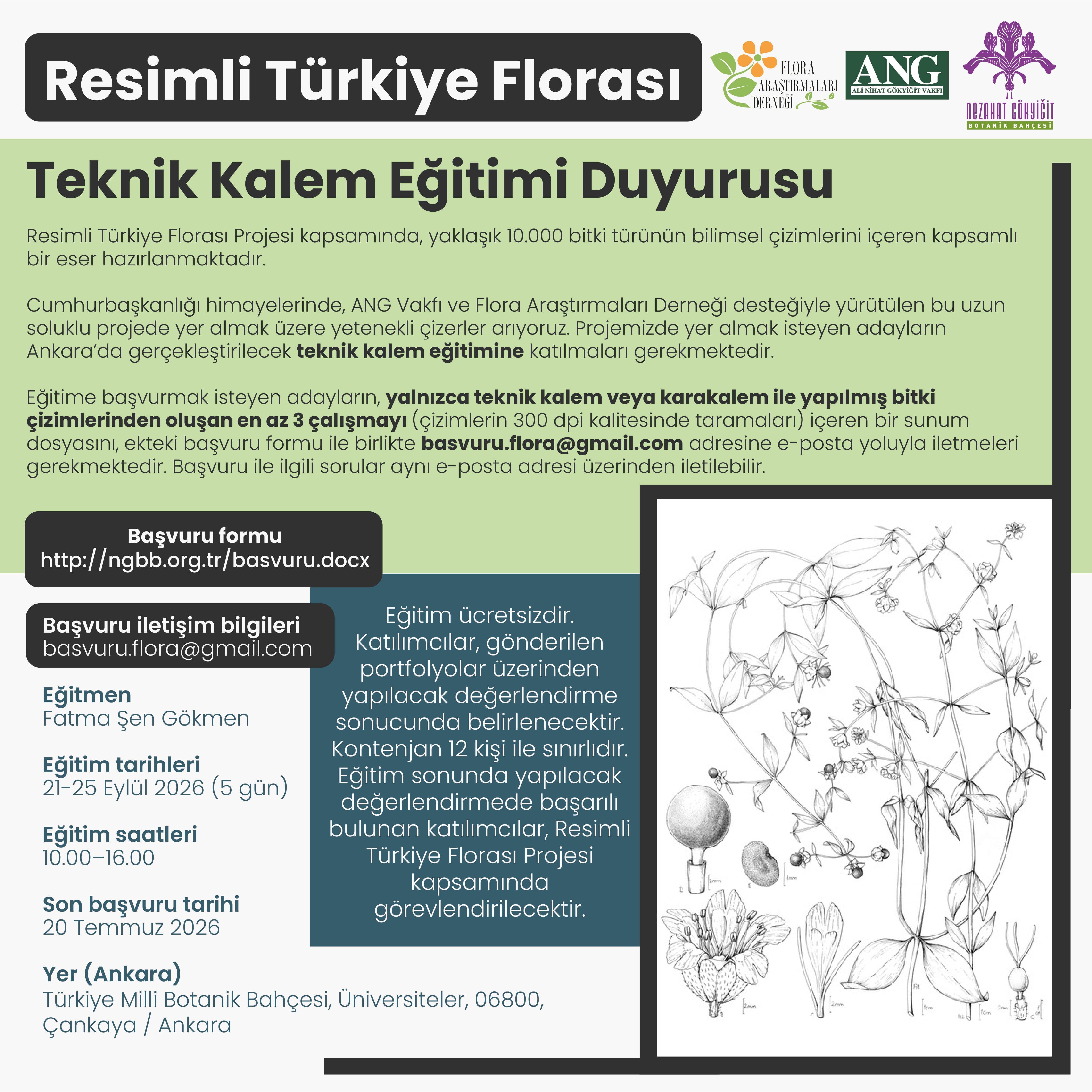 Teknik Kalem Eğitimi Detayları
