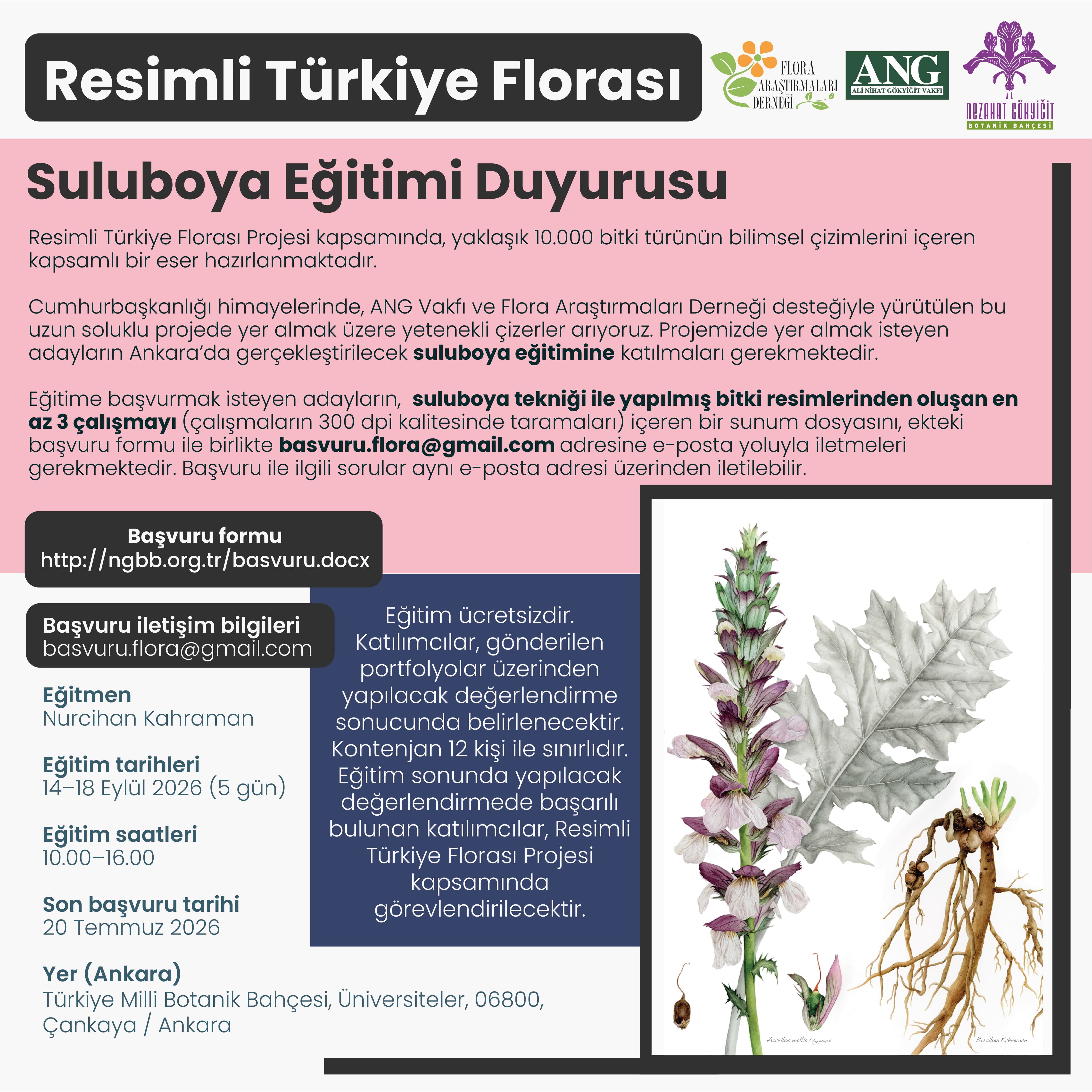Flora Teknik Çizim Örneği